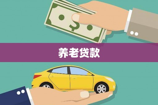 囊谦养老贷款