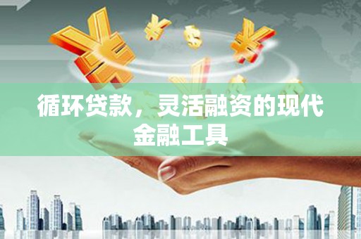 囊谦循环贷款，灵活融资的现代金融工具