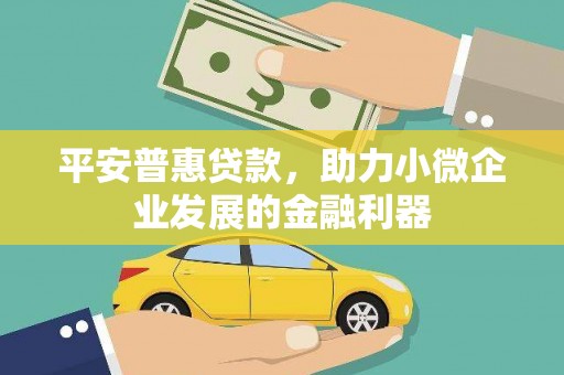 囊谦平安普惠贷款，助力小微企业发展的金融利器