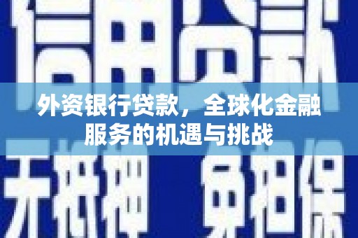 囊谦外资银行贷款，全球化金融服务的机遇与挑战