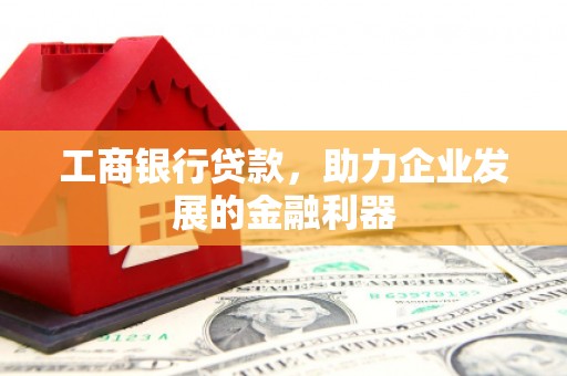 囊谦工商银行贷款，助力企业发展的金融利器