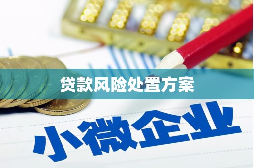 囊谦贷款风险处置方案