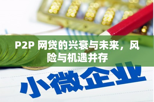 囊谦P2P 网贷的兴衰与未来，风险与机遇并存