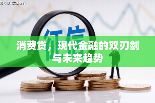 囊谦消费贷，现代金融的双刃剑与未来趋势