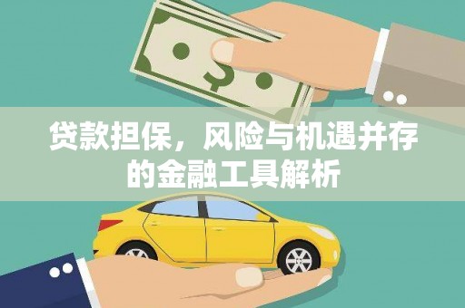 囊谦贷款担保，风险与机遇并存的金融工具解析