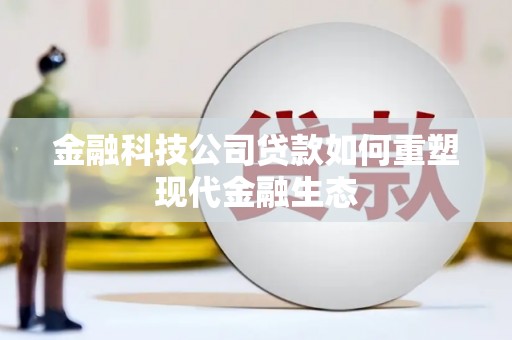 囊谦金融科技公司贷款如何重塑现代金融生态