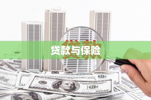 囊谦贷款与保险