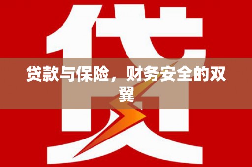 囊谦贷款与保险，财务安全的双翼