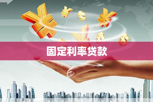 囊谦固定利率贷款