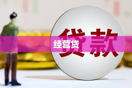 囊谦经营贷