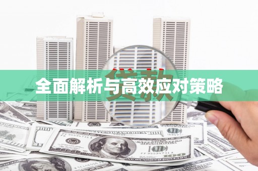 囊谦全面解析与高效应对策略