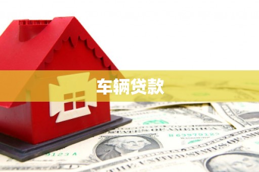 囊谦车辆贷款