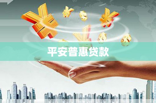 囊谦平安普惠贷款